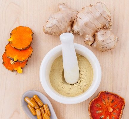 medicinal mushrooms