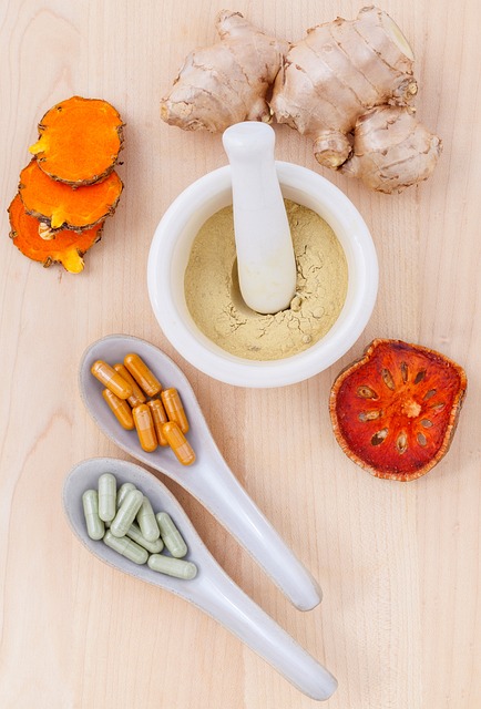 medicinal mushrooms